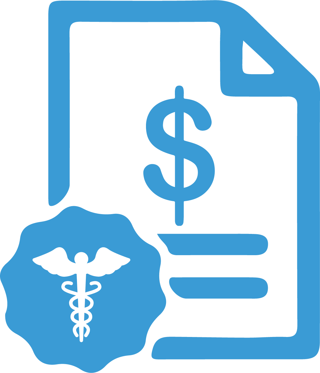Billing and Coding Icon